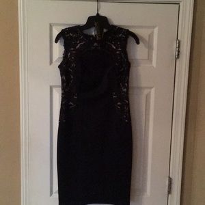 Tadashi Shoji Embroidered Mesh & Neoprene Sheath